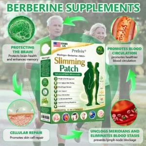Prelvix® 6-in-1 Nano Wellness Patch 2026 | Weight Support