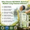 NEYEROS Botanical Mullein Lung Cleanse Diffuser