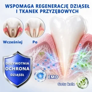 đŽđđđđđđđđÂŽ đŽđđđšđđđđđ Ĺťđđ đ
đ đđđđđđđđđđđ đ
đđÄ
đđĹ