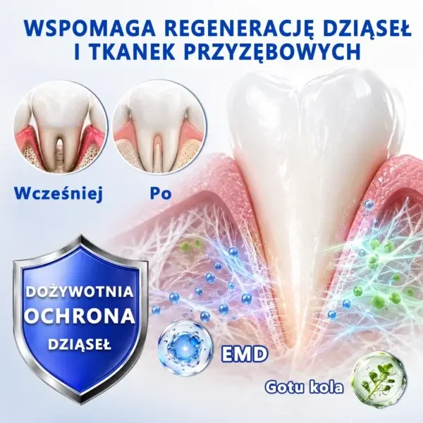 đŽđđđđđđđđÂŽ đŽđđđšđđđđđ Ĺťđđ đ
đ đđđđđđđđđđđ đ
đđÄ
đđĹ