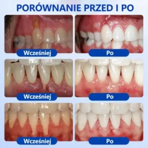 đŽđđđđđđđđÂŽ đŽđđđšđđđđđ Ĺťđđ đ
đ đđđđđđđđđđđ đ
đđÄ
đđĹ