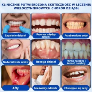 đŽđđđđđđđđÂŽ đŽđđđšđđđđđ Ĺťđđ đ
đ đđđđđđđđđđđ đ
đđÄ
đđĹ