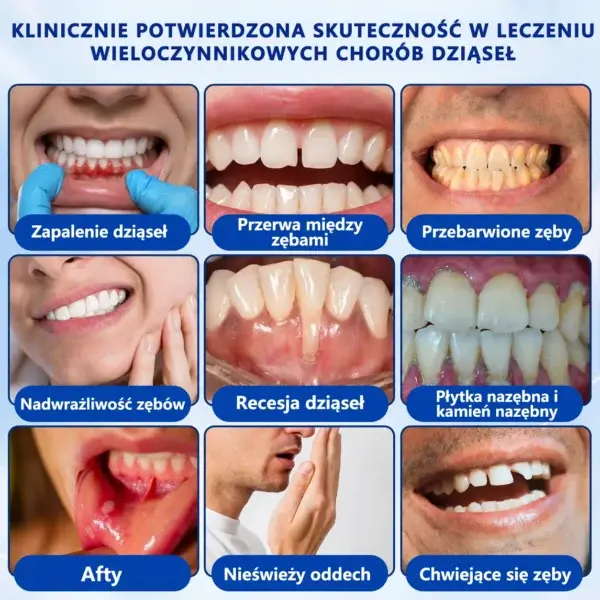 đŽđđđđđđđđÂŽ đŽđđđšđđđđđ Ĺťđđ đ
đ đđđđđđđđđđđ đ
đđÄ
đđĹ