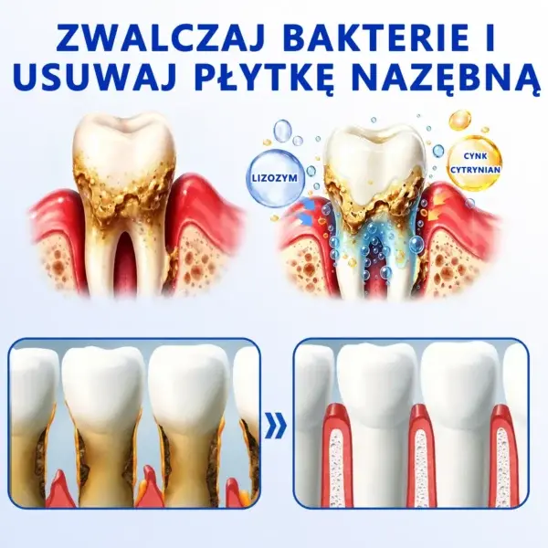 đŽđđđđđđđđÂŽ đŽđđđšđđđđđ Ĺťđđ đ
đ đđđđđđđđđđđ đ
đđÄ
đđĹ